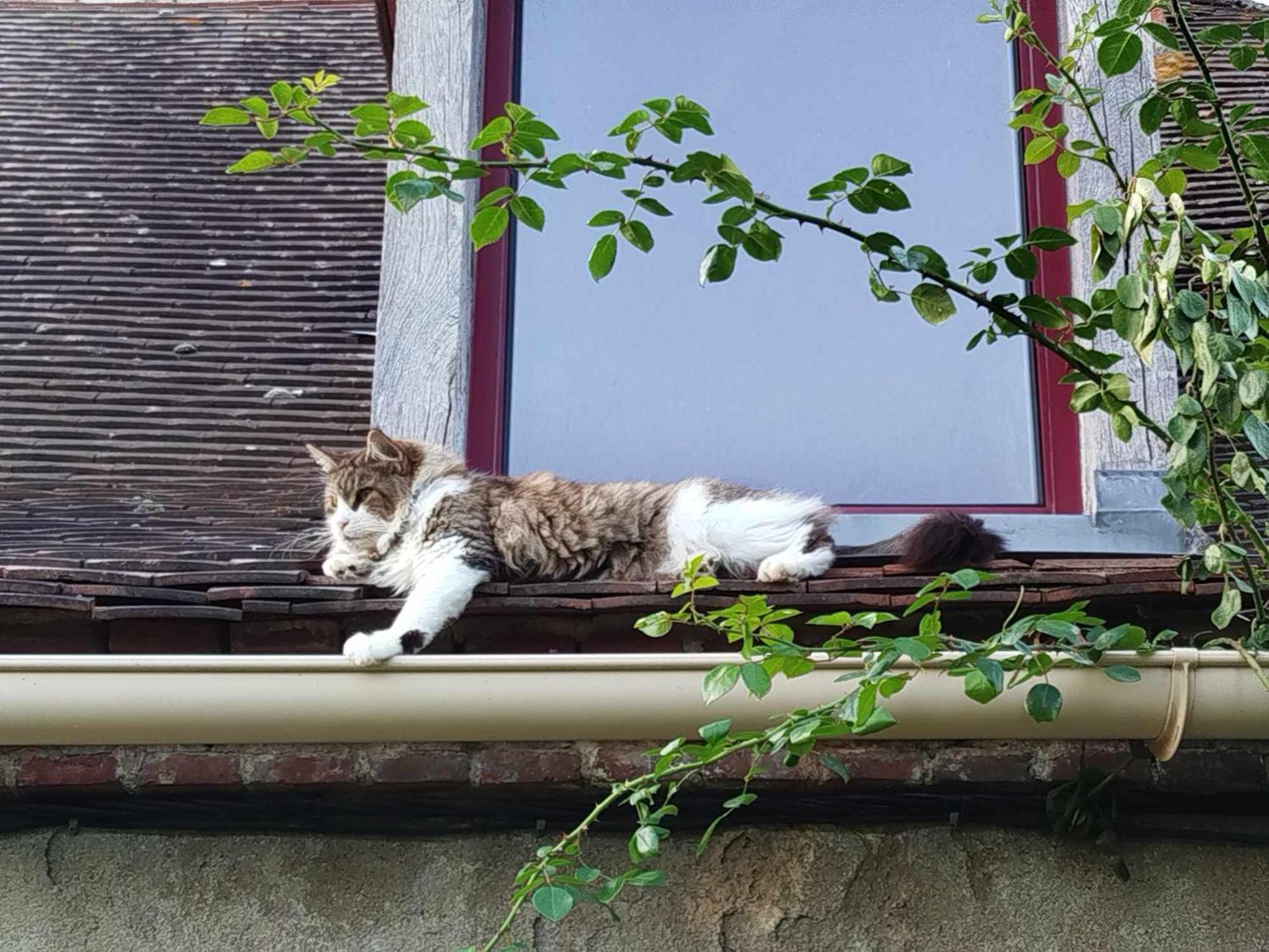Gite Des Fours Agonges Zewnętrze zdjęcie